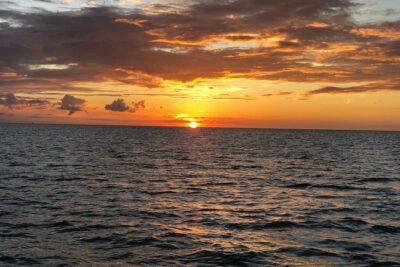 Yacht Charter Madeira beach and Tampa Bay - What You Can Bring: Alcohol, Cooler, and Onboard Comfort