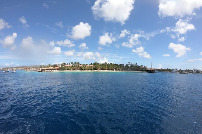 Yacht tour with local guide & snorkeling activities - Onboard setup: shade, a toilet, life vests, and a bar
